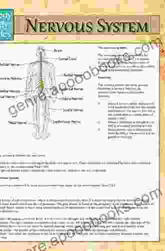 Nervous System: Speedy Study Guides