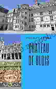 Chateau De Blois: Simple Guide (Loire Castles)