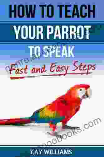 How to Teach your Parrot to Speak In 5 Easy Steps