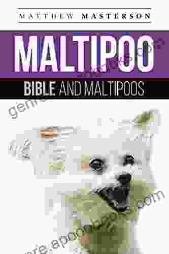 Maltipoo Bible And Maltipoos: Your Perfect Maltipoo Guide Maltipoo Maltipoos Maltipoo Puppies Maltipoo Dogs Maltipoo Breeders Maltipoo Care Maltipoo Training Health Behavior Grooming More