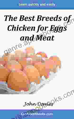 The Best Breeds Of Chicken For Eggs And Meat: Your Guide To The Best Backyard Egg And Meat Chickens